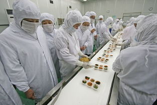 河北食品企業QS許可審查咨詢認證與教育咨詢服務全解析